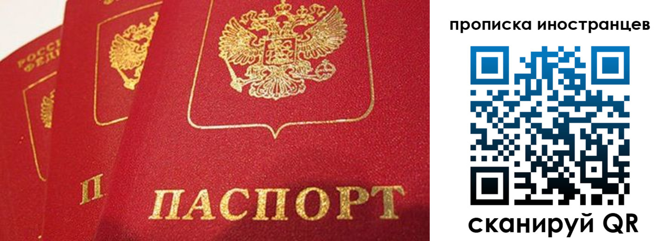 прописка поиск в Шлиссельбурге